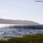 Lago Lanalhue : Détente nature entre Cañete et Contulmo